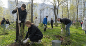 В парке Рыбинска на субботнике высадили 30 молодых сосен