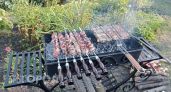 Хватит переплачивать за свинину: врачи назвали бюджетное мясо для идеального шашлыка с пользой для сосудов