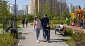 Рыбинцы выбирают площадку для благоустройства в 2027 году