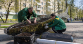 16 000 цветов превратят Рыбинск в город рыб этим летом