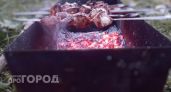 Больше не выбрасывайте этот остаток продуктов: с ним шашлык станет нежнее масла всего за полчаса маринования