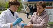 За неделю клещи укусили 209 рыбинцев — каждый четвёртый пострадавший ребёнок