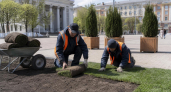 На Красной площади Рыбинска уложили новый газон и расставили туи