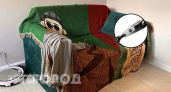 Больше не трачу время на уборку: купила в Чижике ручной пылесос за 600 рублей и забыла про пыль в углах