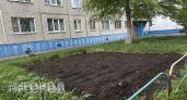 Дачники под ударом: власти готовят массовые штрафы за привычные грядки уже в начале этого лета