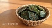 Выкидываю пачки чипсов из супермаркета: теперь делаю полезный хрустящий перекус из крапивы прямо на даче