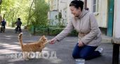 Ваша кошка облизывает вас вовсе не из любви: ветеринары назвали истинные причины такого поведения питомца