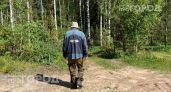 Мошка прокусывает даже плотную ткань: аптечный копеечный флакон защищает от укусов надежнее дорогих спреев