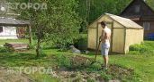 Проведите пятиминутный тест с простым полотенцем на даче: так вы моментально вычислите скрытых клещей