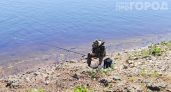Комары больше не приблизятся: копеечная смесь из домашней аптечки работает лучше любого дорогого спрея