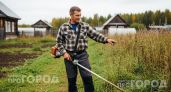 Забудьте про постоянную покупку лески для триммера: этот простой способ покоса сэкономит вам кучу денег