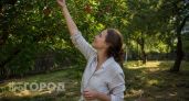 Больше никакой червоточины в урожае: просто закрепила эту копеечную вещь на ветках и забыла о вредителях