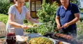 Забудьте про обычные салаты к мясу: готовлю молодую капусту по особому рецепту, который съедают первым