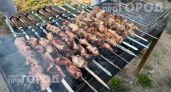 Забудьте про обгоревшие края: просто бросьте эту добавку в угли и получите идеальный шашлык за минуты