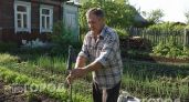 Забудьте про укусы на даче: мой метод с обычным носком отпугивает всех комаров и мошек за считанные минуты