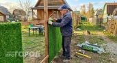 Хватит прятаться за унылым профлистом: узнайте как стильно закрыть участок от лишних глаз и пыли