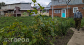 Забудьте про тяпку: вылейте стакан этого раствора вечером и утром на грядках не останется ни одного сорняка