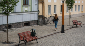 В Рыбинске специалисты ухаживают за сиренью и живыми изгородями в парках