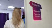 Реальный доход продавца с Wildberries: почему товары станут недоступными для покупателей уже в этом году