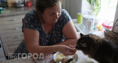 Вы невольно убиваете своего питомца: список запрещенных продуктов со стола, которые вызывают отказ органов