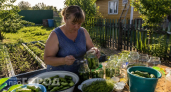Откажитесь от скучных заготовок в банках: эти огурцы по-немецки готовятся за минуты и исчезают со стола мгновенно