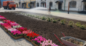 Соборную площадь Рыбинска украсят 2500 пеларгоний и сотни роз