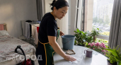 Перестаньте выбрасывать кухонные полотенца из-за запаха сырости: пять простых привычек для идеальной чистоты
