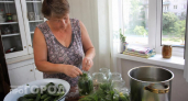 Добавляю один секретный продукт в маринад для огурцов: гости просят рецепт сразу после первой хрустящей пробы