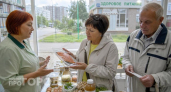 Перестаньте мучиться с коленями: добавьте в меню эти 5 бюджетных продуктов для питания хрящевой ткани