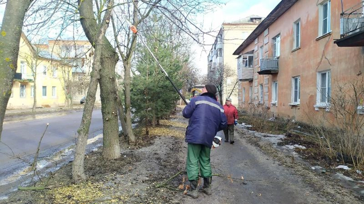 В Рыбинске убирают больные ветки и превращают их в мульчу для газонов