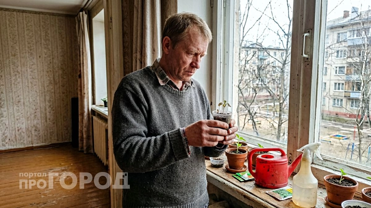 Не ведитесь на цветущие саженцы в марте — это уловка магазинов, из-за которой растения завянут после посадки