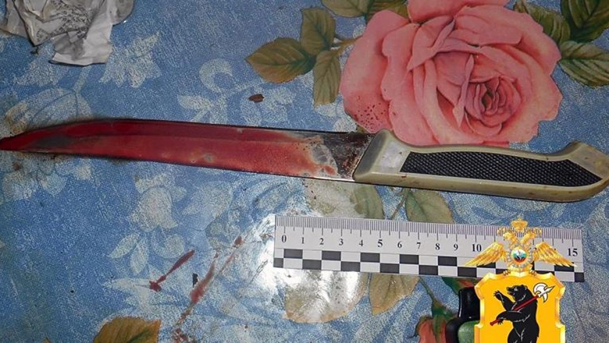 В Рыбинске девушка зарезала партнёра после ночной ссоры
