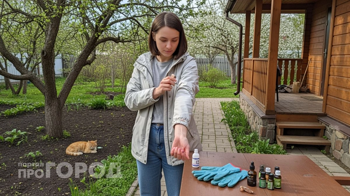 Забыла про дорогие спреи: копеечное аптечное средство отпугивает клещей намертво весь лесной сезон