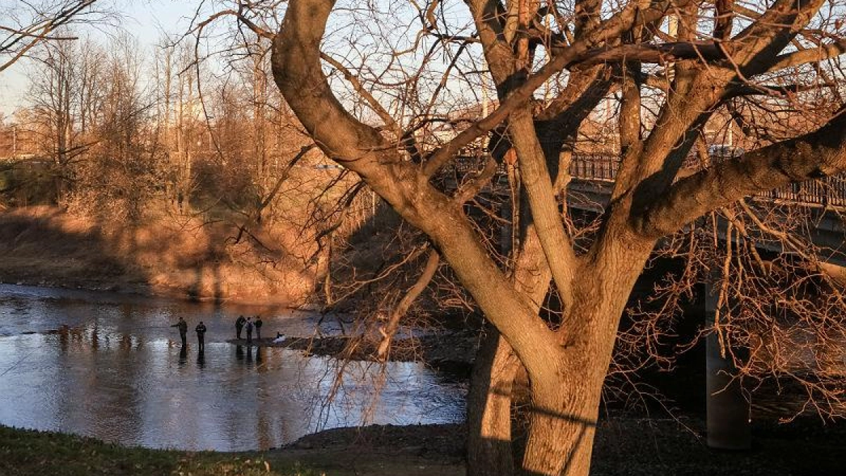 Арктический вихрь принес в Россию снег и морозы накануне Пасхи