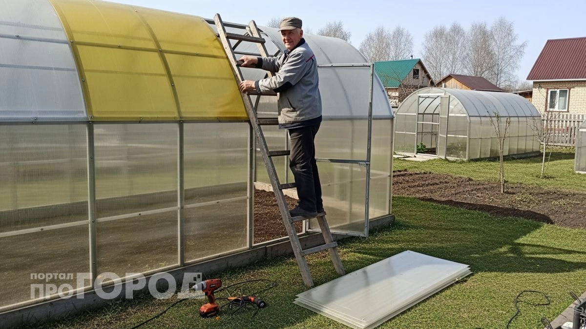 Выкинула поликарбонат из теплицы: нашла прочный материал по цене пленки который прослужит много лет