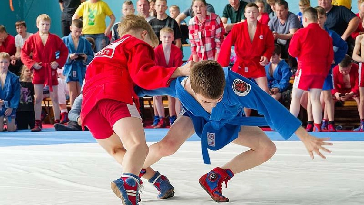 Школа №17 Рыбинска победила во всех четырёх дисциплинах областного турнира по самбо