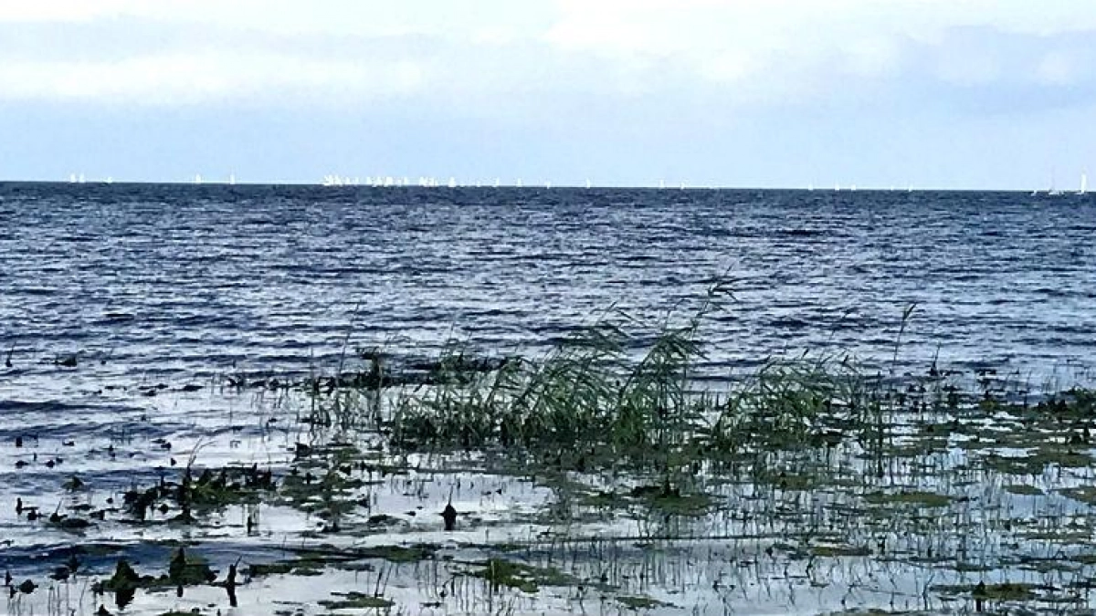 «Шексна-Водоканал» два месяца сливала стоки в водохранилище: ущерб 13,4 млн рублей