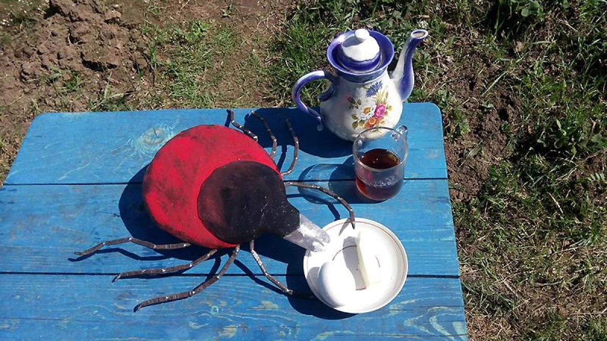 Клещи атакуют с марта: в области уже 15 пострадавших, четверо — дети