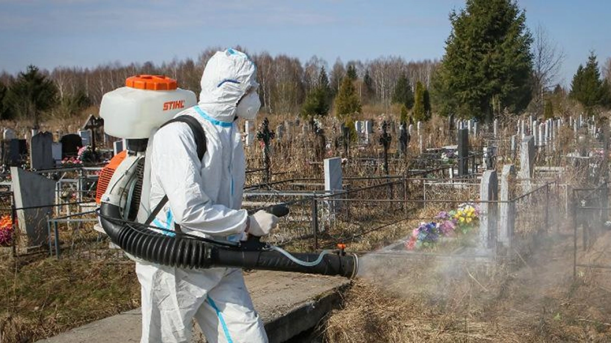 353 га в Рыбинске обработают от клещей: парки, школы и набережные