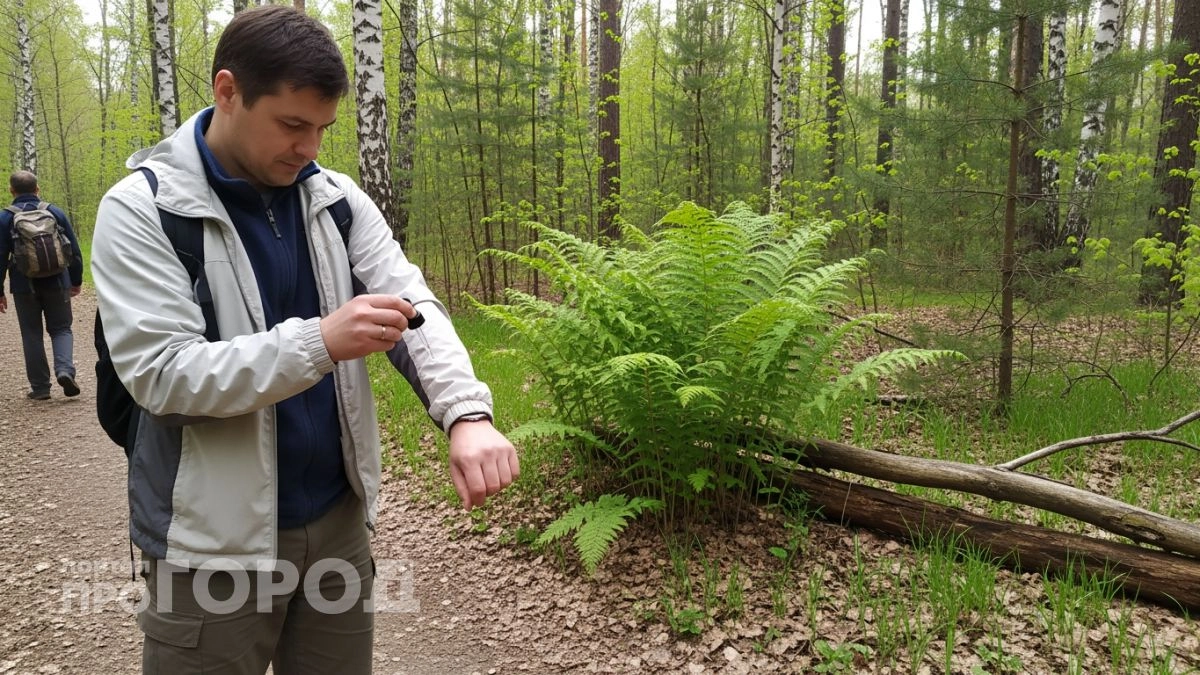 Больше никаких дорогих аэрозолей: копеечная специя из любого Магнита отпугивает клещей лучше химии