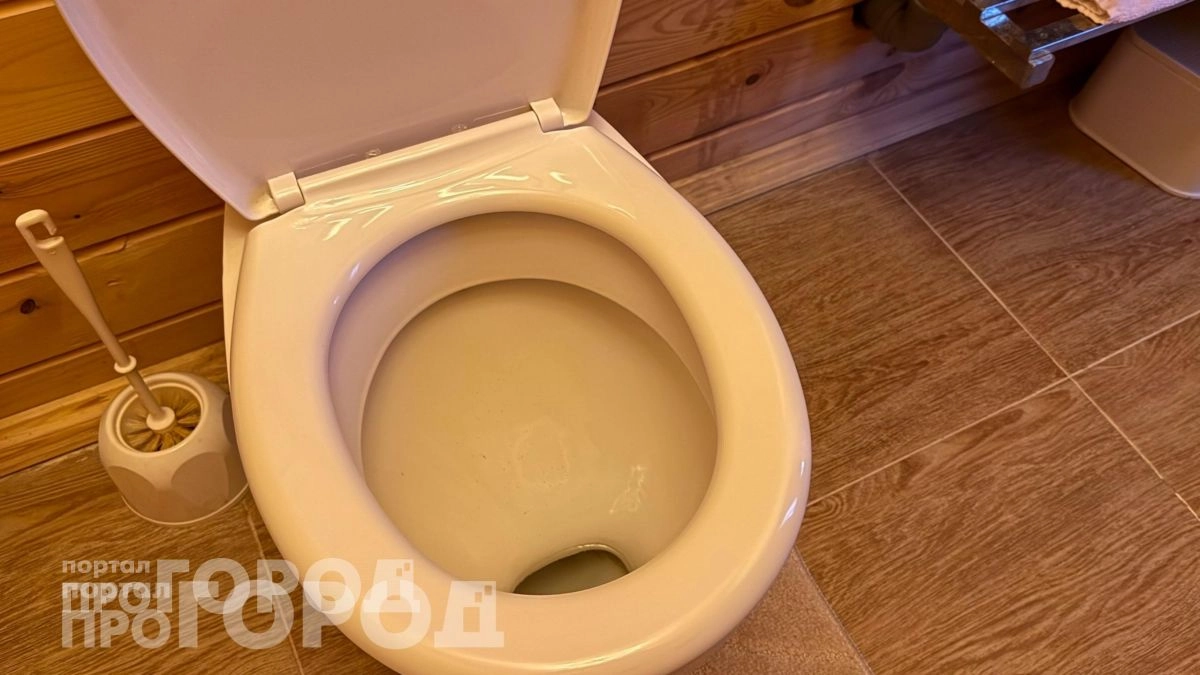 Выливаю это средство в унитаз и чайник вечером: утром вся накипь исчезает без единого движения щеткой или губкой