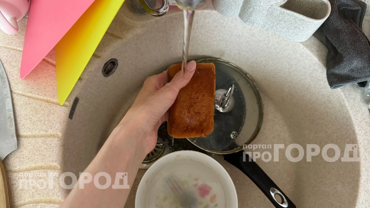 Ваша губка для посуды опаснее сиденья унитаза: узнайте, когда её нужно выбрасывать на самом деле