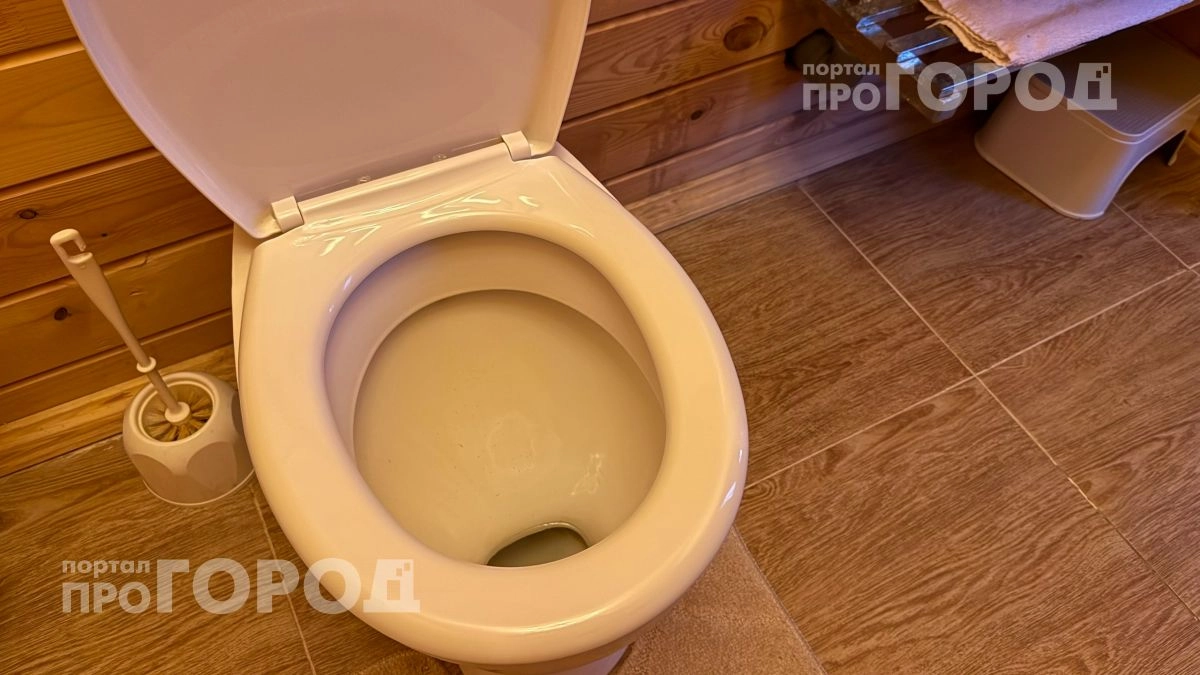 Хватит смывать воду с открытой крышкой: вы даже не представляете, сколько бактерий оседает на вашей зубной щетке