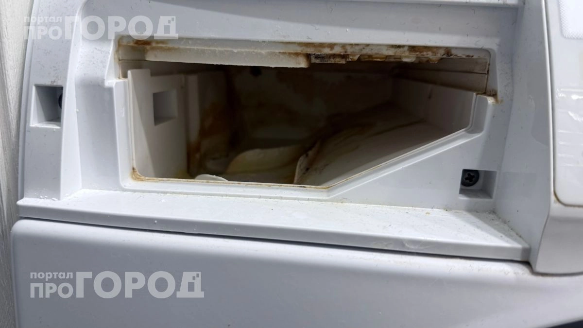 Перестаньте мириться с вонью из стиралки: одна скрытая деталь очищается от черного налета за пять минут