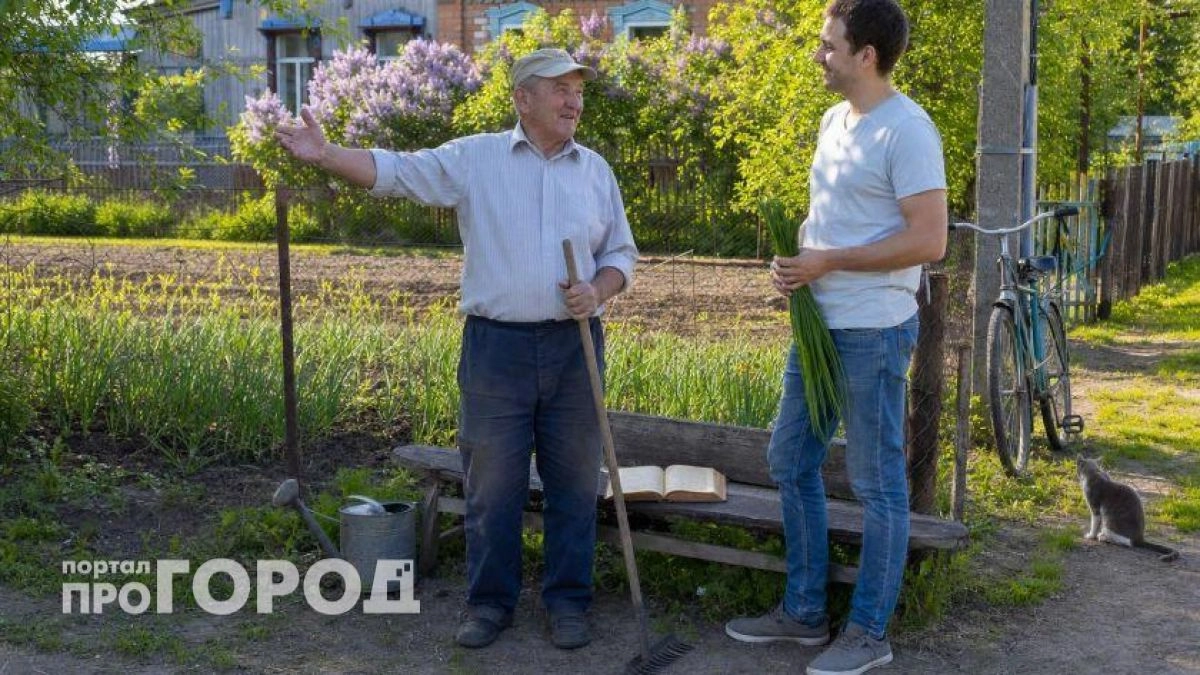 Вы всю жизнь произносили эту фразу неверно: узнайте скрытое продолжение пословицы про губу и её смысл