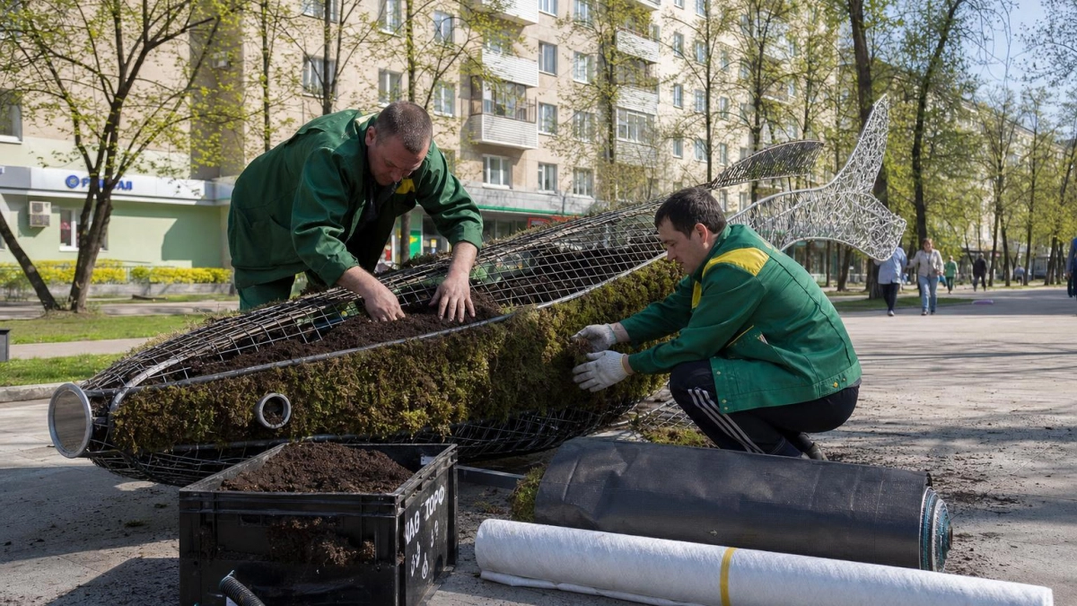 16 000 цветов превратят Рыбинск в город рыб этим летом