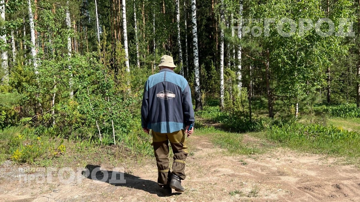 Забудьте про тяжелую химию: всего две капли на одежду отпугнут клещей на весь день и защитят детей