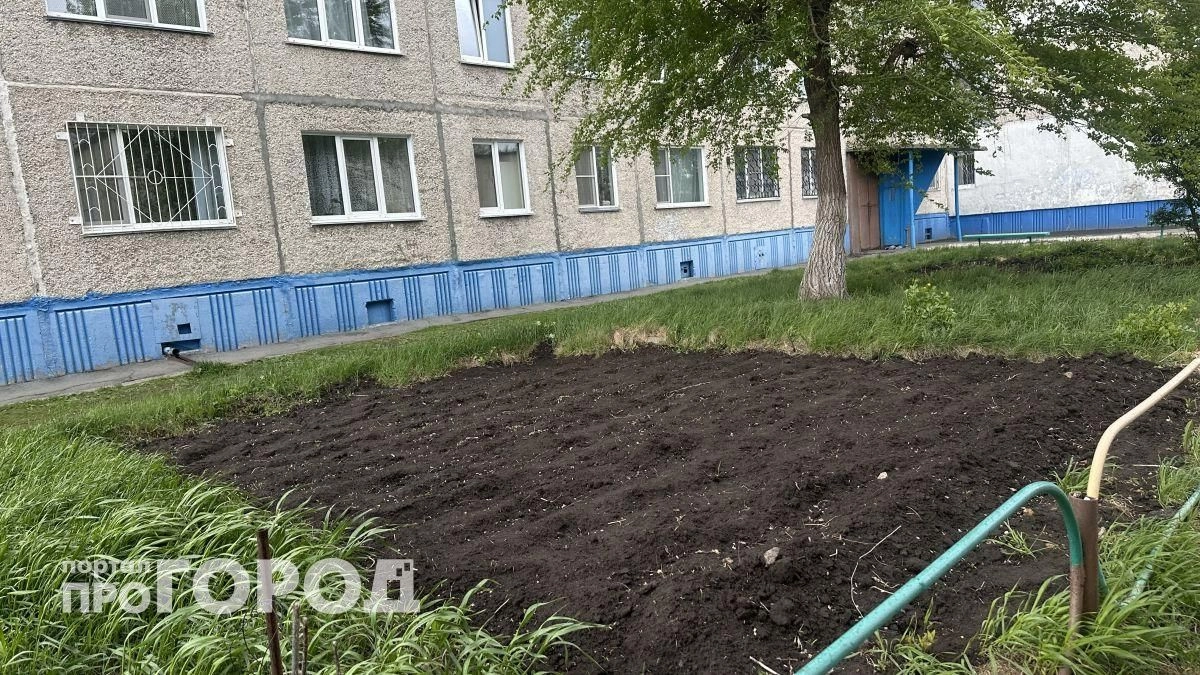 Дачники под ударом: власти готовят массовые штрафы за привычные грядки уже в начале этого лета