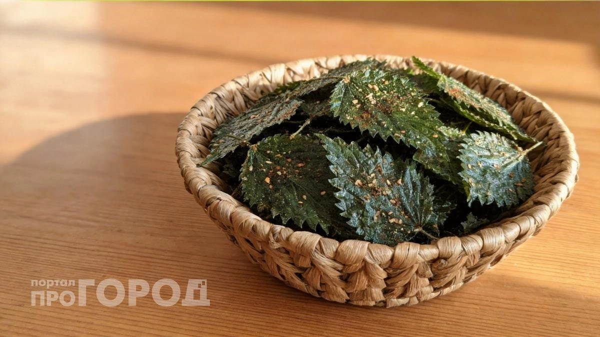 Выкидываю пачки чипсов из супермаркета: теперь делаю полезный хрустящий перекус из крапивы прямо на даче
