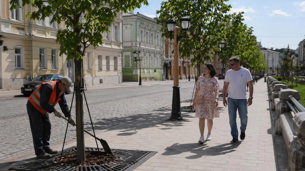 Полтора десятка кленов-крупномеров появились в Преображенском переулке Рыбинска